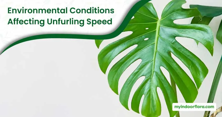 Environmental Conditions Affecting Unfurling Speed