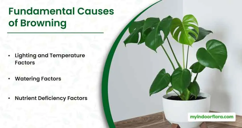 Fundamental Causes of Browning