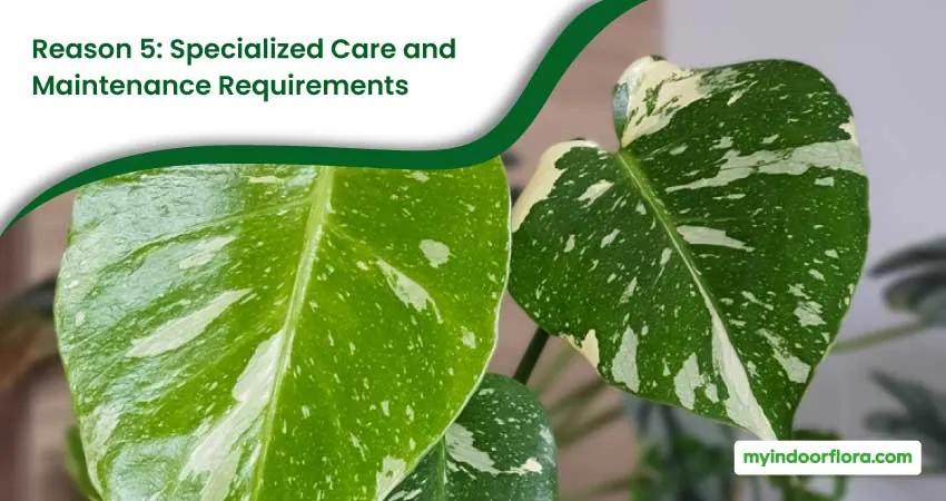 Reason 5 Specialized Care and Maintenance Requirements