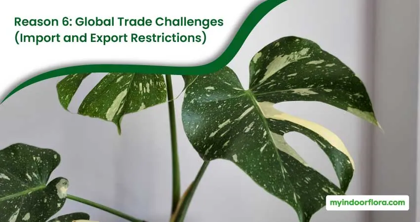Reason 6 Global Trade Challenges Import And Export Restrictions