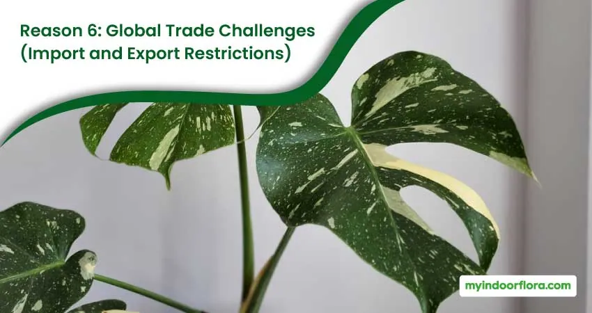 Reason 6 Global Trade Challenges Import and Export Restrictions