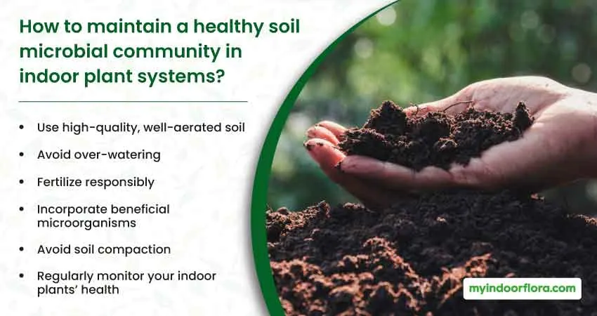 How To Maintain A Healthy Soil Microbial Community In Indoor Plant Systems