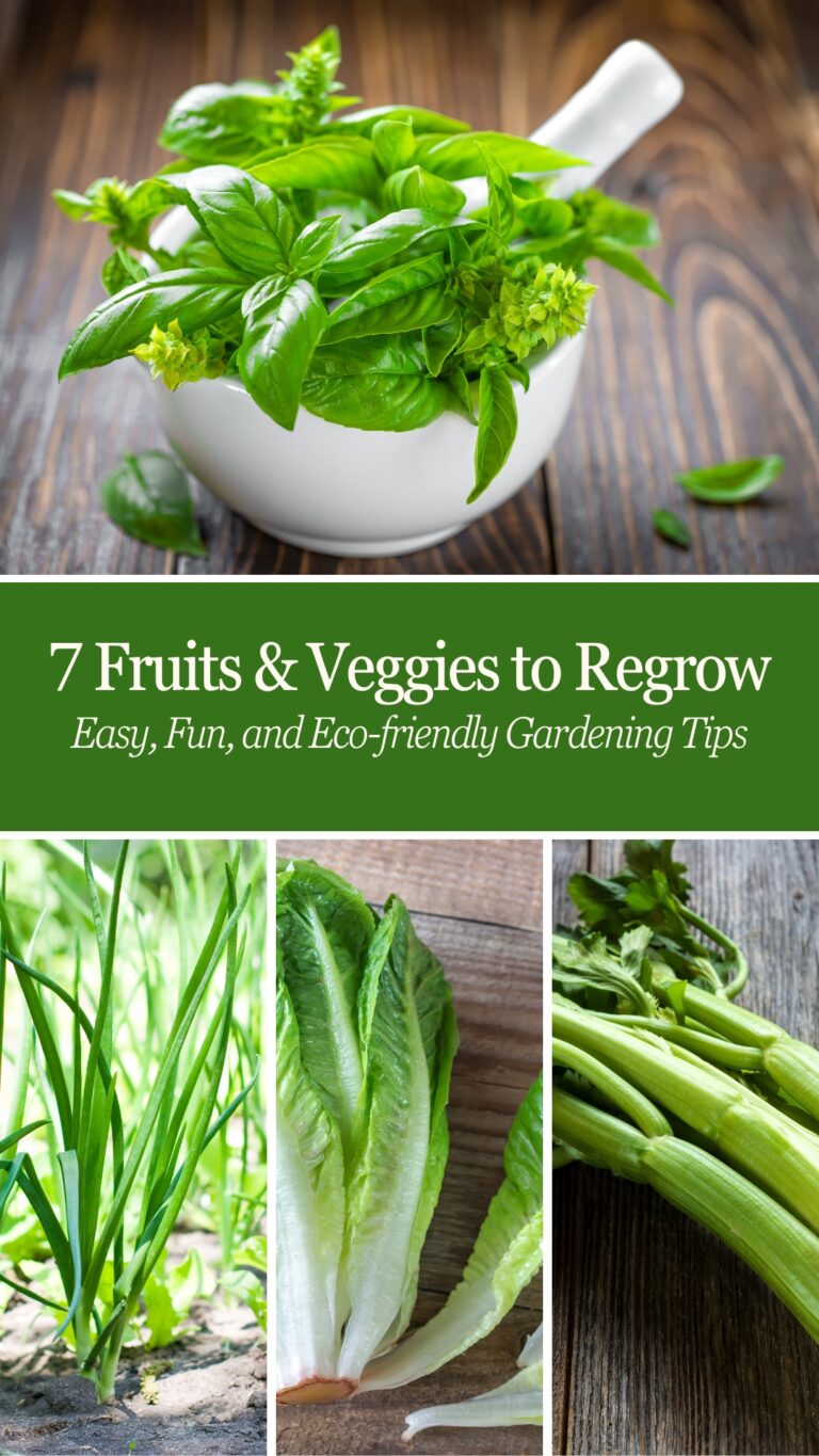 7 Fruits &Amp; Veggies To Regrow