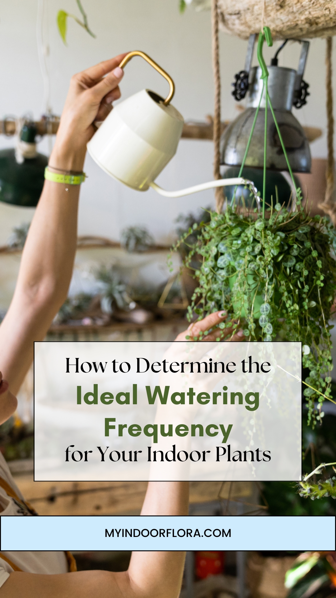 How To Determine The Ideal Watering Frequency For Your Indoor Plants