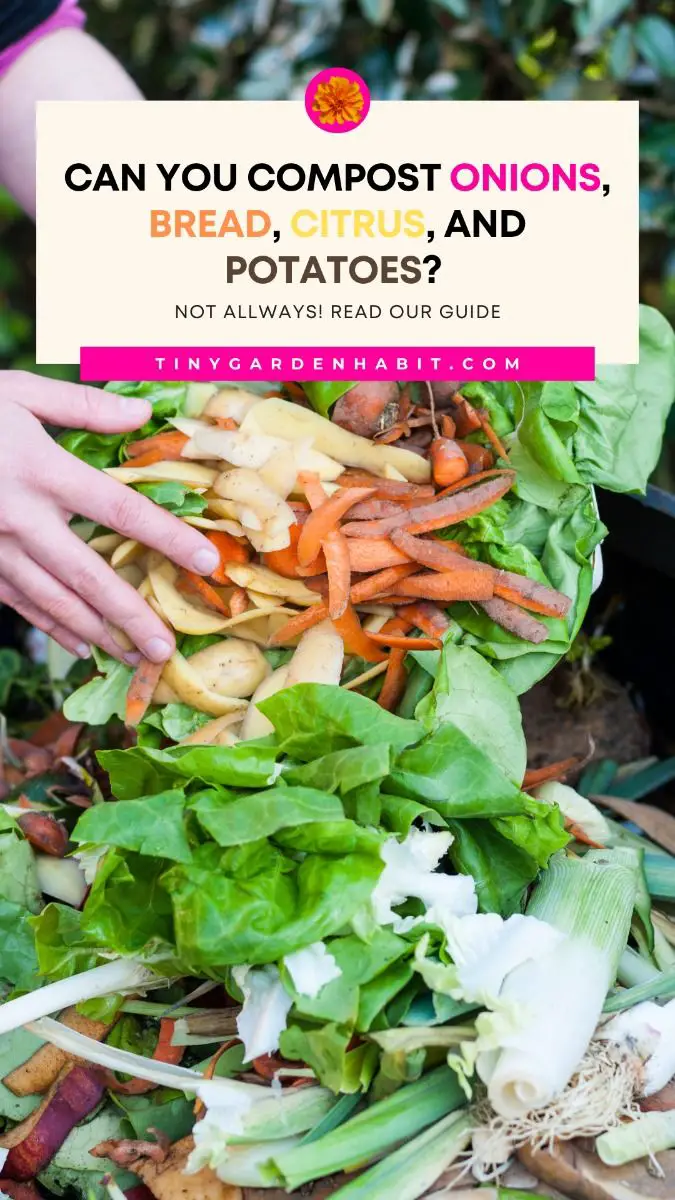 Can You Compost Onions, Bread, Citrus, & Potatoes? Not Always!