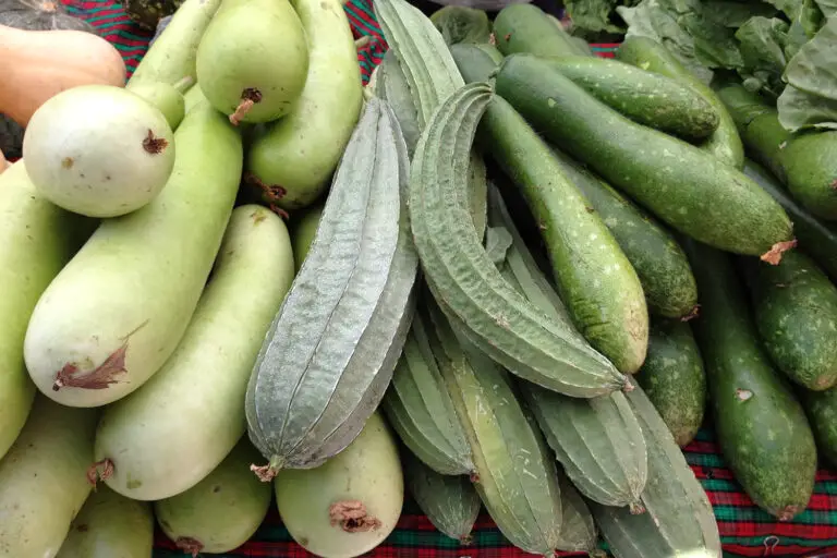 Can You Grow Cucumbers And Peas Together? A Concise Guide