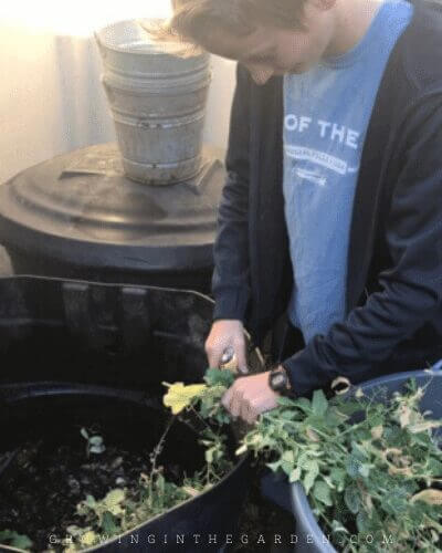 How to Compost: 10 Simple Steps