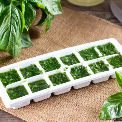 How to Freeze Basil