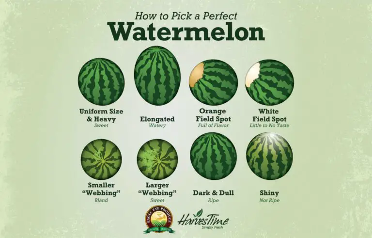 How To Pick A Perfectly Ripe And Sweet Watermelon