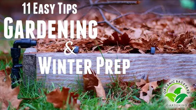 How To Prepare Your Raised Beds For Winter