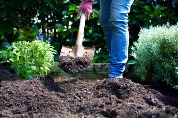 How to Prepare Your Soil For Planting