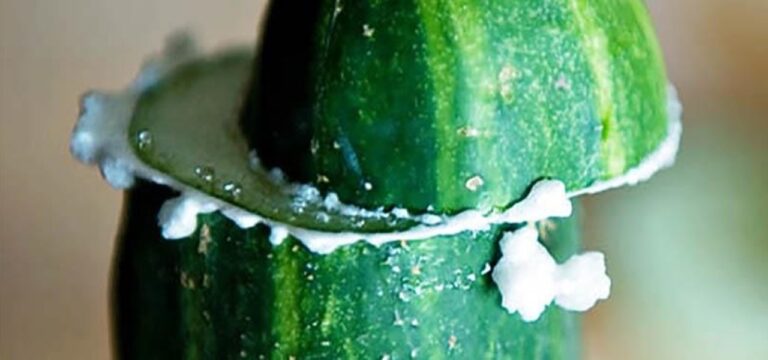 How to Prevent & Fix Bitter Cucumbers