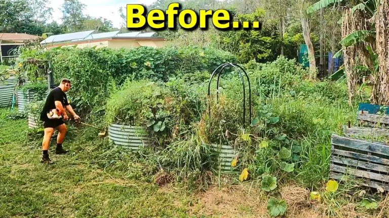 How to Restore an Overgrown Vegetable Garden