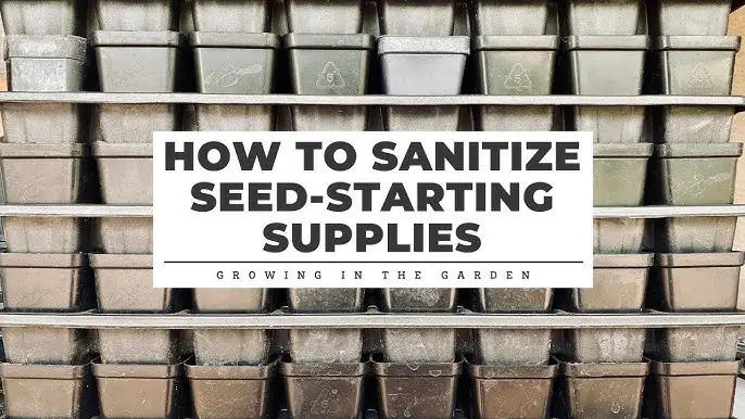 How to Sanitize Seed Starting Supplies