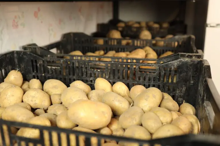 How To Store Potatoes From The Garden