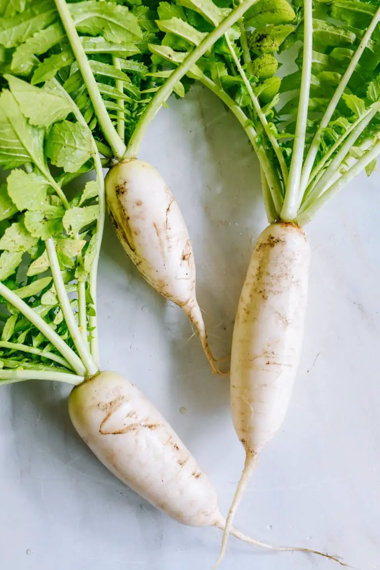 Why Are My Daikon Radishes Small?